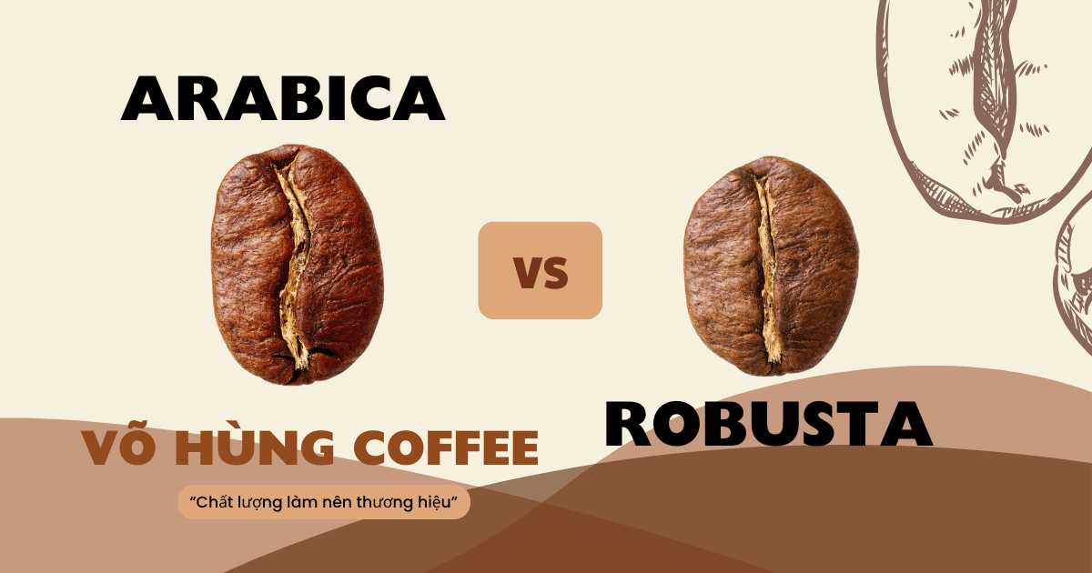Hạt Robusta vs Arabica